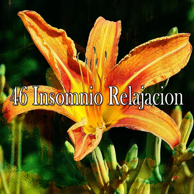 Couverture de 46 Insomnio Relajacion