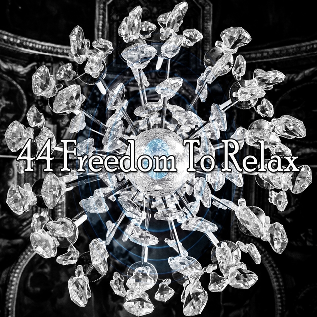 Couverture de 44 Freedom to Relax