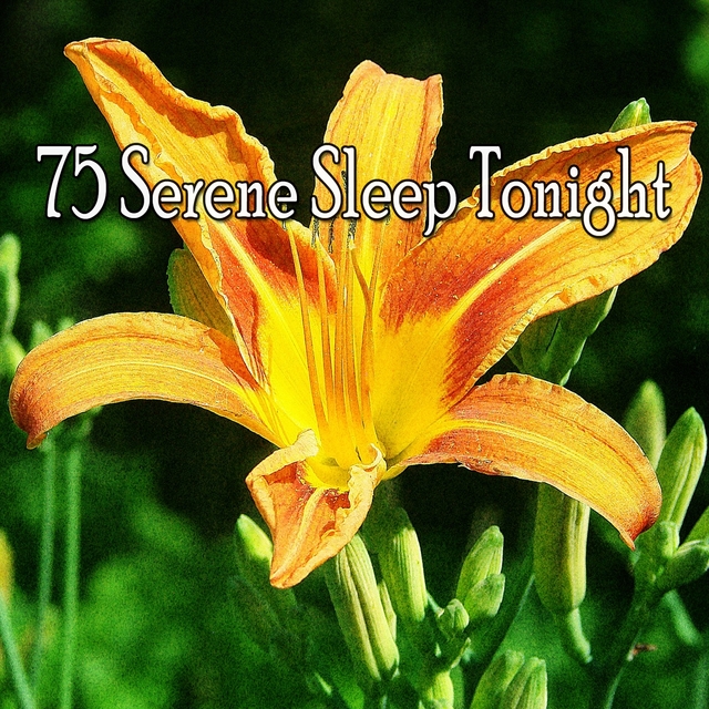 Couverture de 75 Serene Sleep Tonight