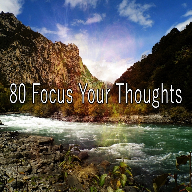 Couverture de 80 Focus Your Thoughts