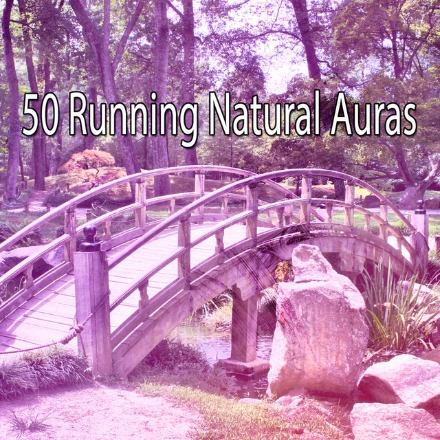 Couverture de 50 Running Natural Auras