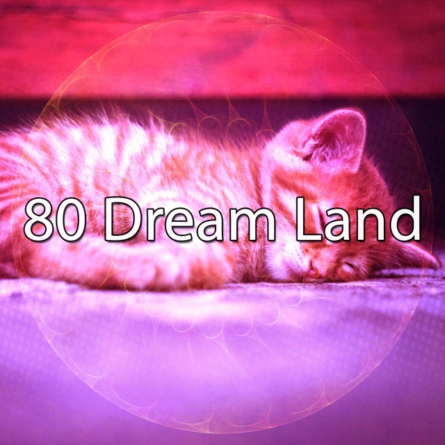 Couverture de 80 Dream Land