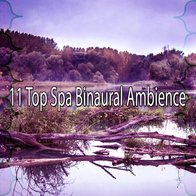 Couverture de 11 Top Spa Binaural Ambience