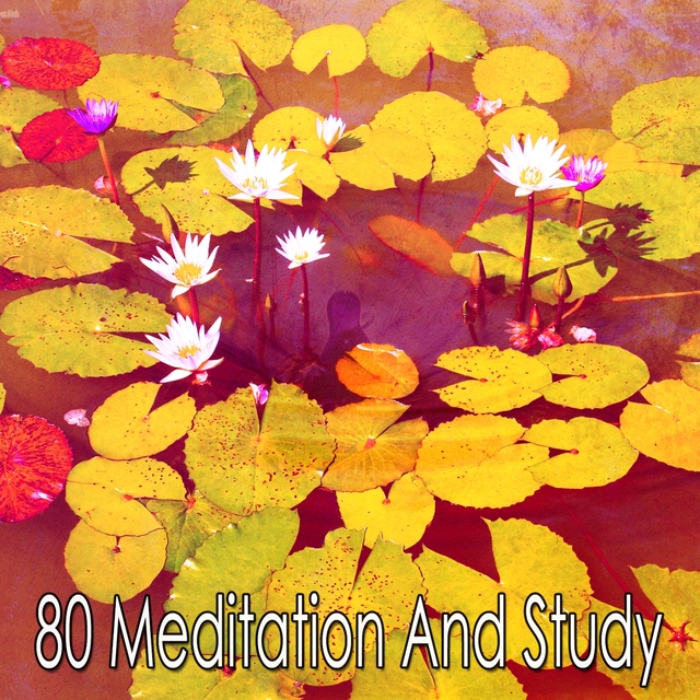 Couverture de 80 Meditation and Study