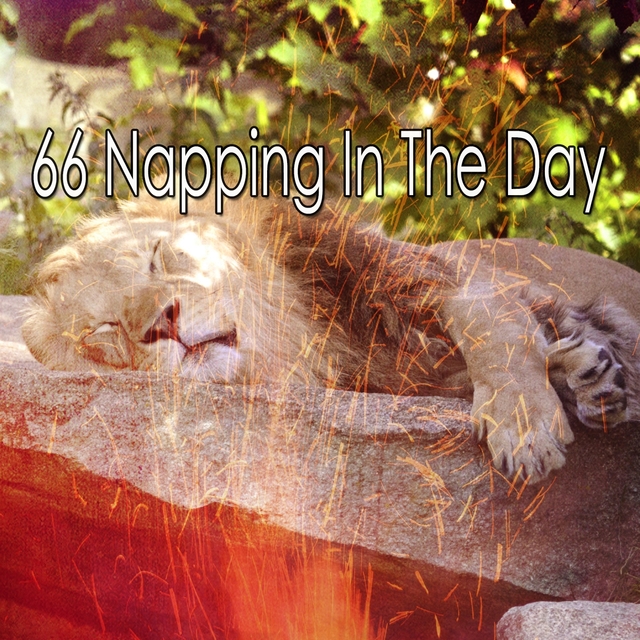 Couverture de 66 Napping in the Day