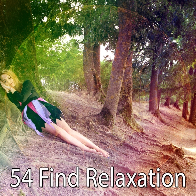 Couverture de 54 Find Relaxation