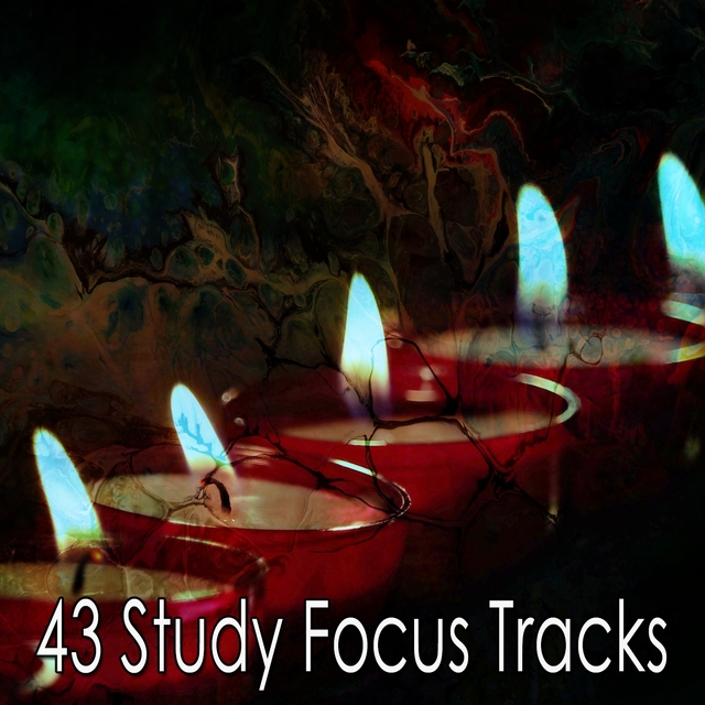 43 Study Focus Tracks