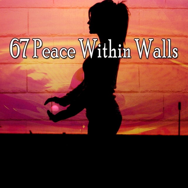 Couverture de 67 Peace Within Walls