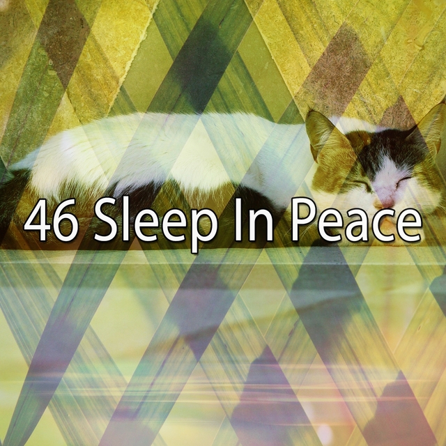 46 Sleep in Peace