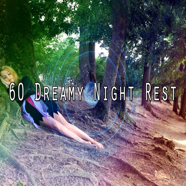 Couverture de 60 Dreamy Night Rest