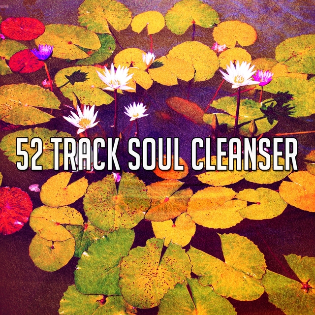 52 Track Soul Cleanser