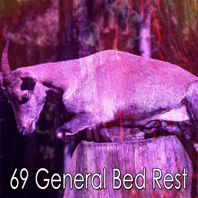 69 General Bed Rest