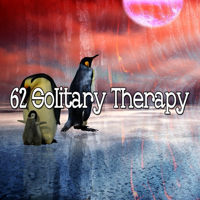 Couverture de 62 Solitary Therapy