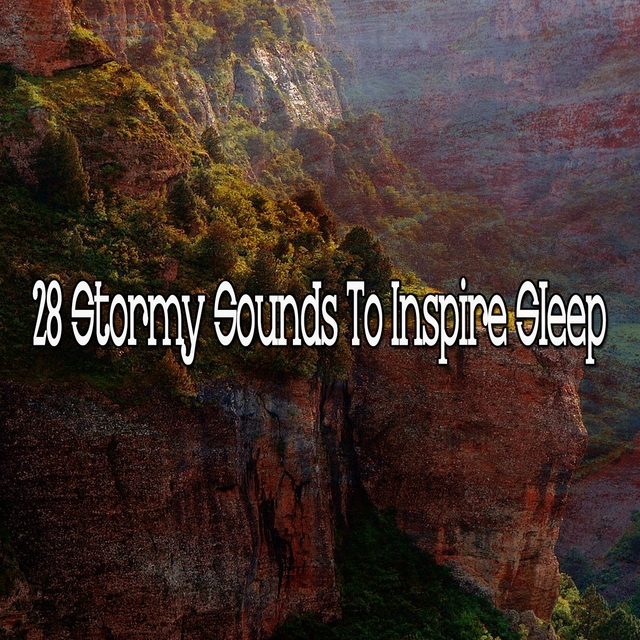 Couverture de 28 Stormy Sounds to Inspire Sle - EP