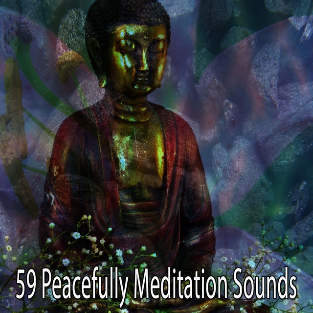 Couverture de 59 Peacefully Meditation Sounds