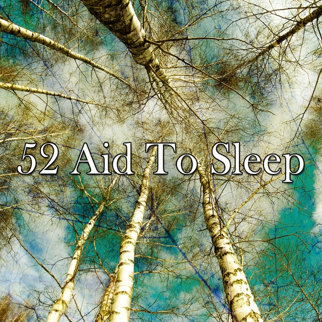 52 Aid to Sle - EP