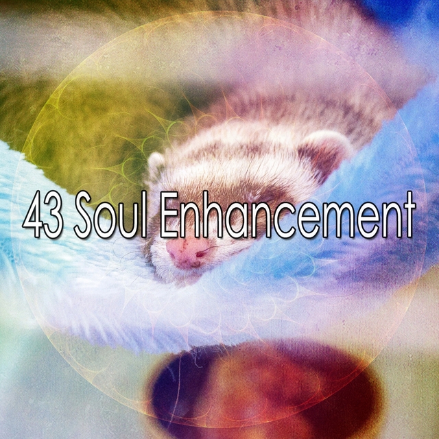 43 Soul Enhancement