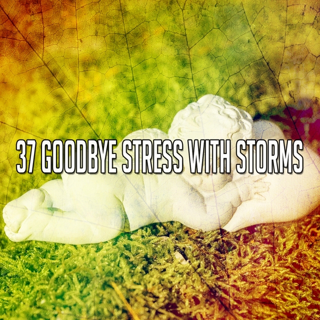 Couverture de 37 Goodbye Stress with Storms