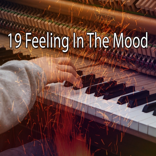 Couverture de 19 Feeling in the Mood