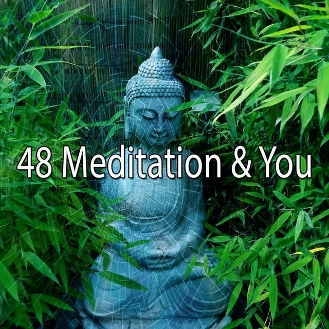 48 Meditation & You