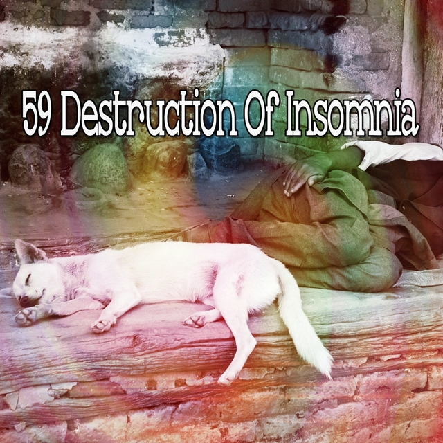 59 Destruction of Insomnia