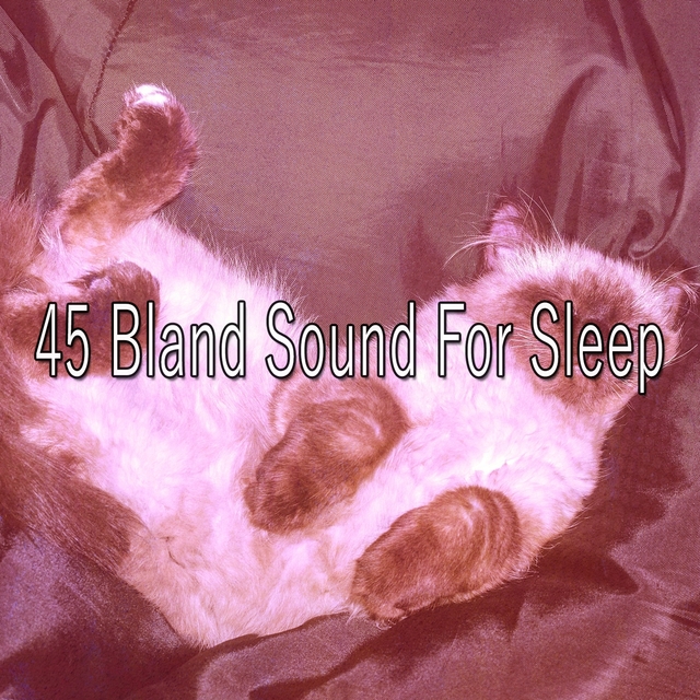 Couverture de 45 Bland Sound for Sle - EP