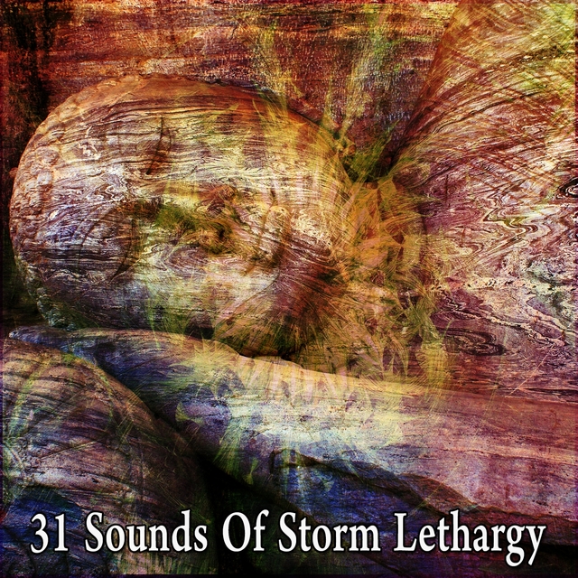 Couverture de 31 Sounds of Storm Lethargy