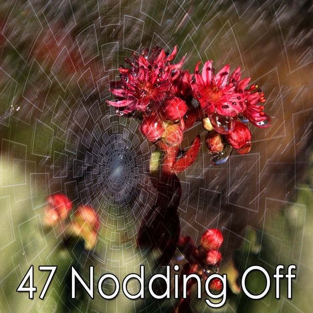 47 Nodding Off