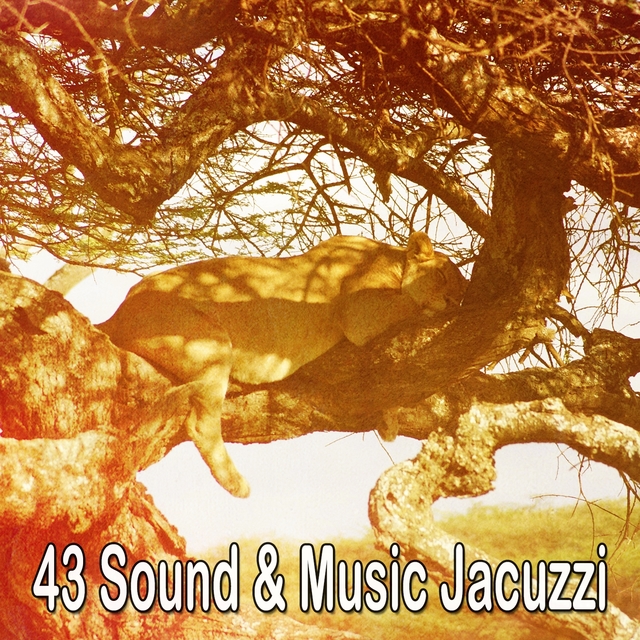 43 Sound & Music Jacuzzi