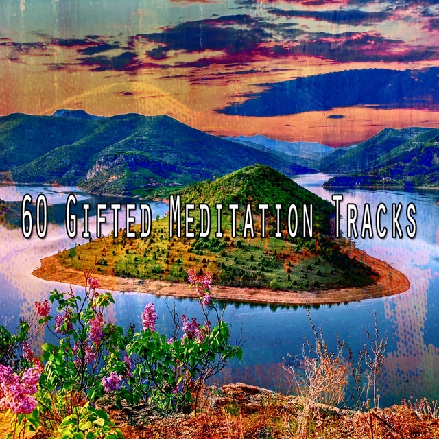 Couverture de 60 Gifted Meditation Tracks