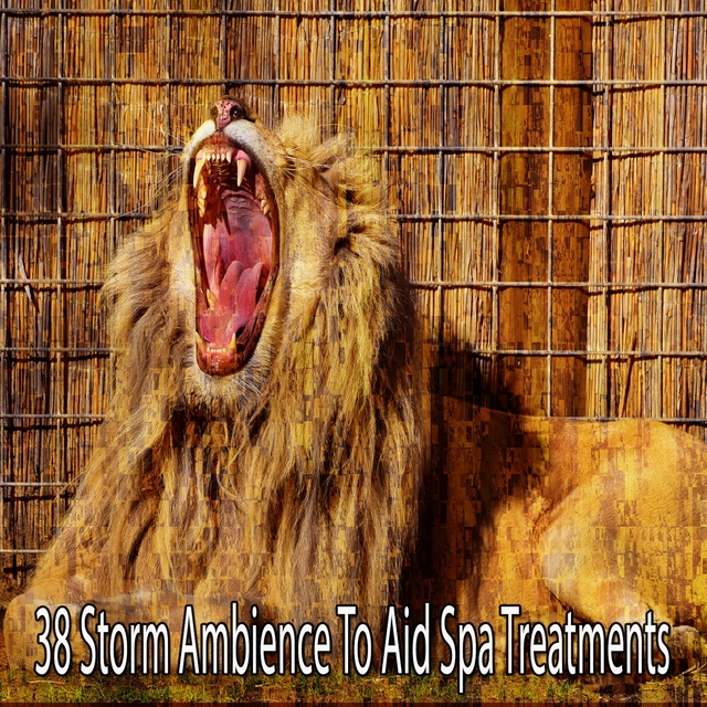 Couverture de 38 Storm Ambience to Aid Spa Treatments