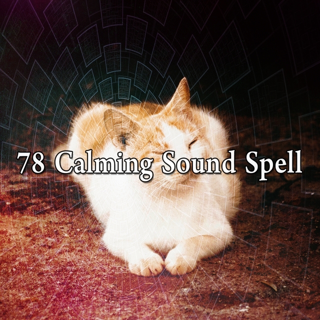 Couverture de 78 Calming Sound Spell