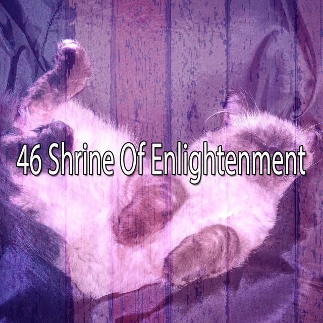 46 Shrine of Enlightenment