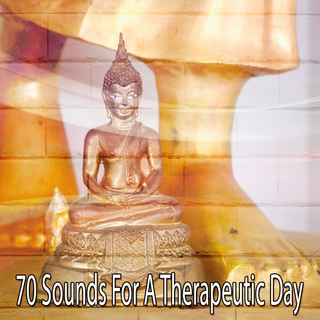 Couverture de 70 Sounds for a Therapeutic Day