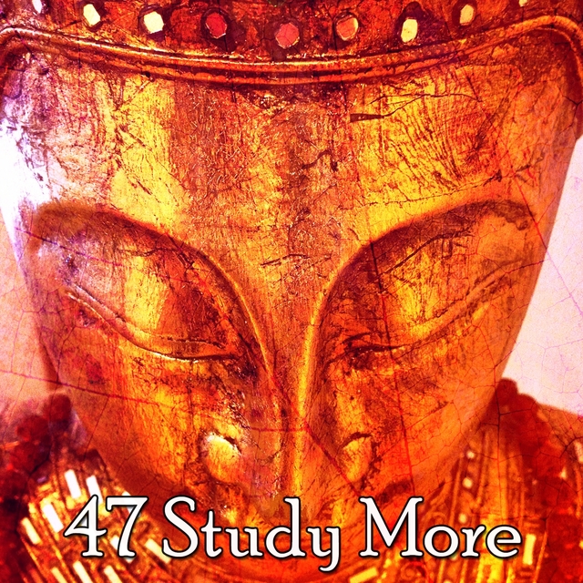 Couverture de 47 Study More