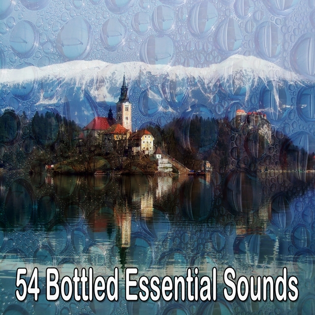 Couverture de 54 Bottled Essential Sounds