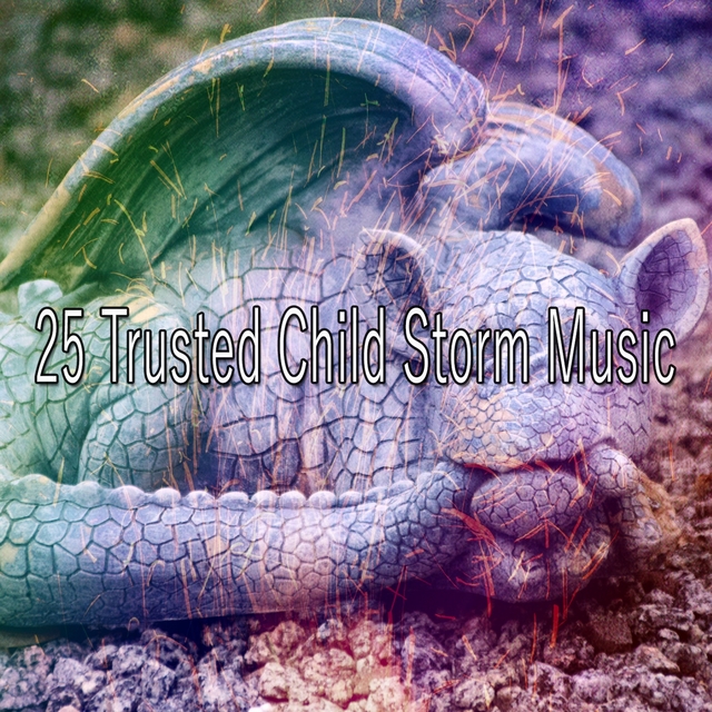 Couverture de 25 Trusted Child Storm Music