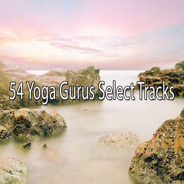 Couverture de 54 Yoga Gurus Select Tracks