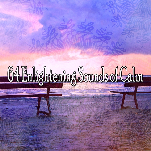 Couverture de 64 Enlightening Sounds of Calm