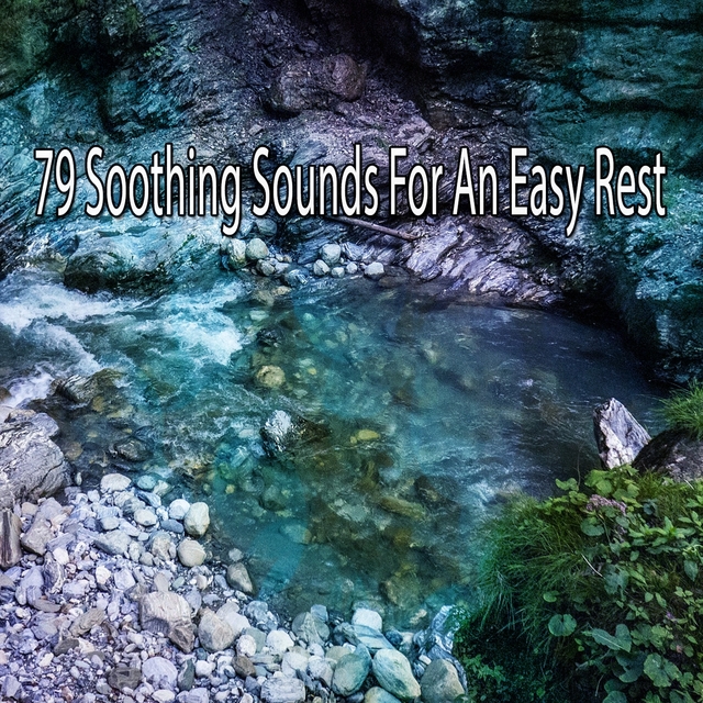 Couverture de 79 Soothing Sounds for an Easy Rest