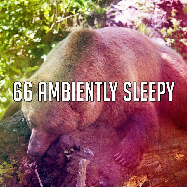 66 Ambiently Sleepy