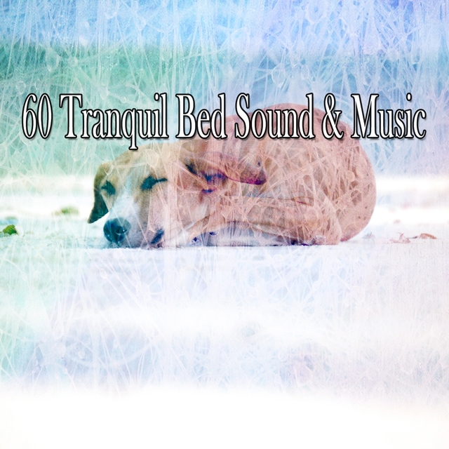 Couverture de 60 Tranquil Bed Sound & Music