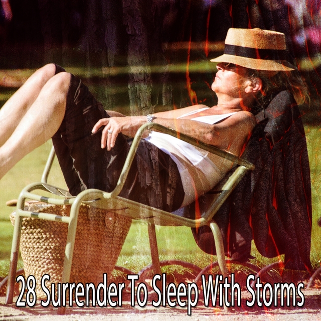 Couverture de 28 Surrender to Sleep with Storms