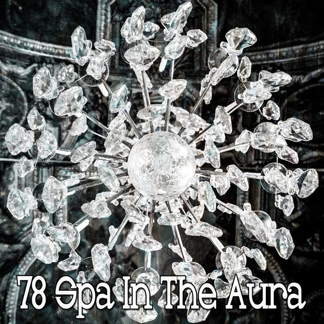 Couverture de 78 Spa in the Aura