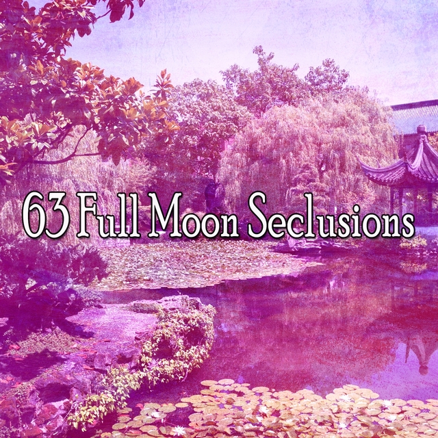 Couverture de 63 Full Moon Seclusions