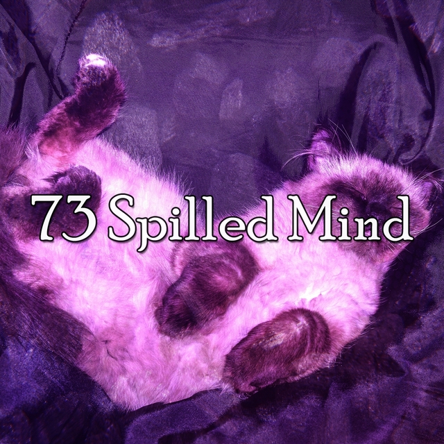 73 Spilled Mind