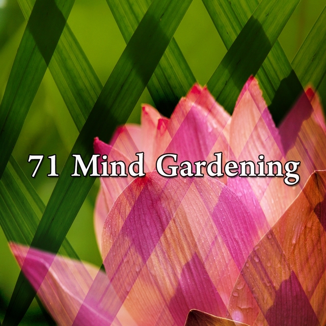 Couverture de 71 Mind Gardening