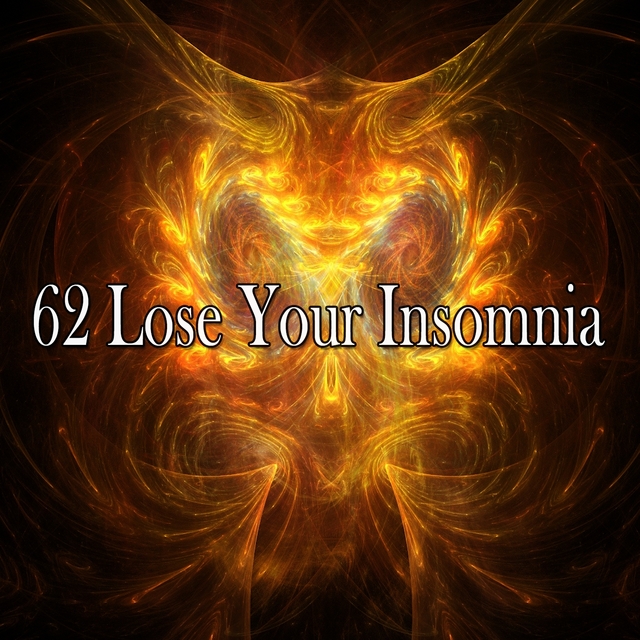 Couverture de 62 Lose Your Insomnia