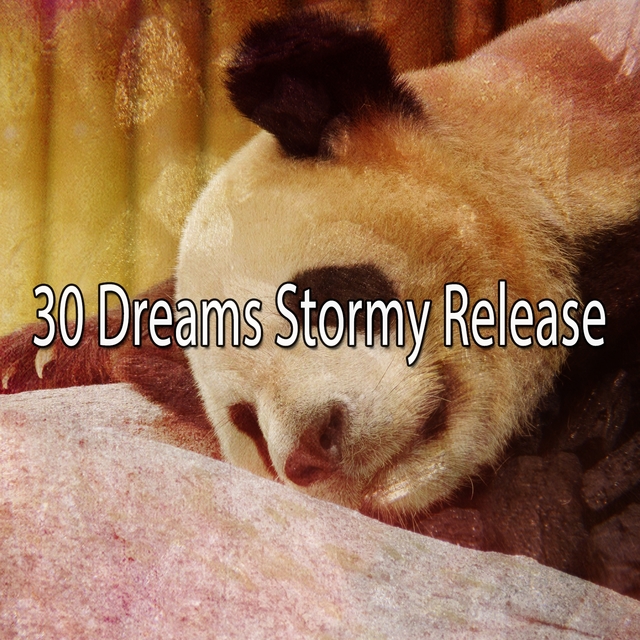 Couverture de 30 Dreams Stormy Release