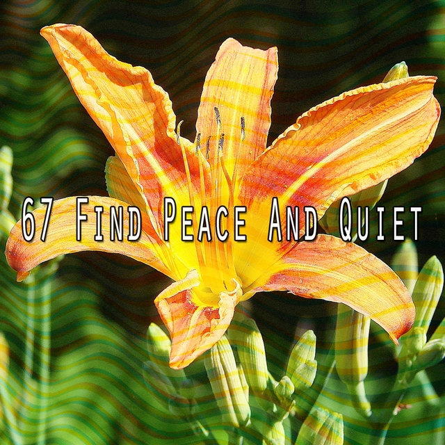 Couverture de 67 Find Peace and Quiet